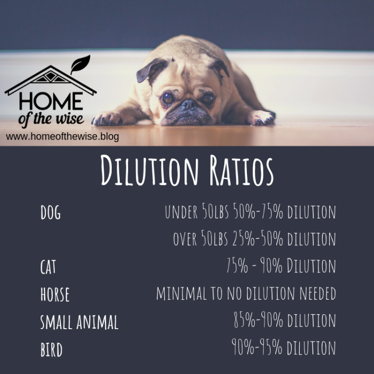 pet dilition ratios.png